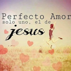 Meet your Posher, Julieta